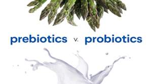Phân biệt probitics với prebiotics