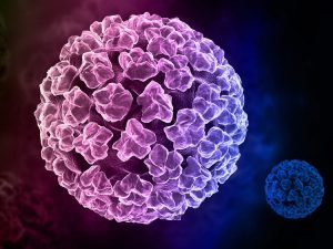 Virus HPV là gì? Quá trình hình thành mụn cóc diễn ra như thế nào?