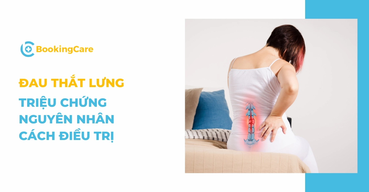 Vị trí đau cột sống lưng thường tập trung ở vùng thắt lưng