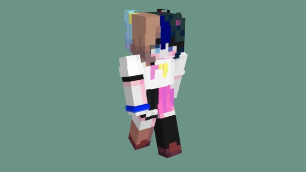 Anh meme minecraft