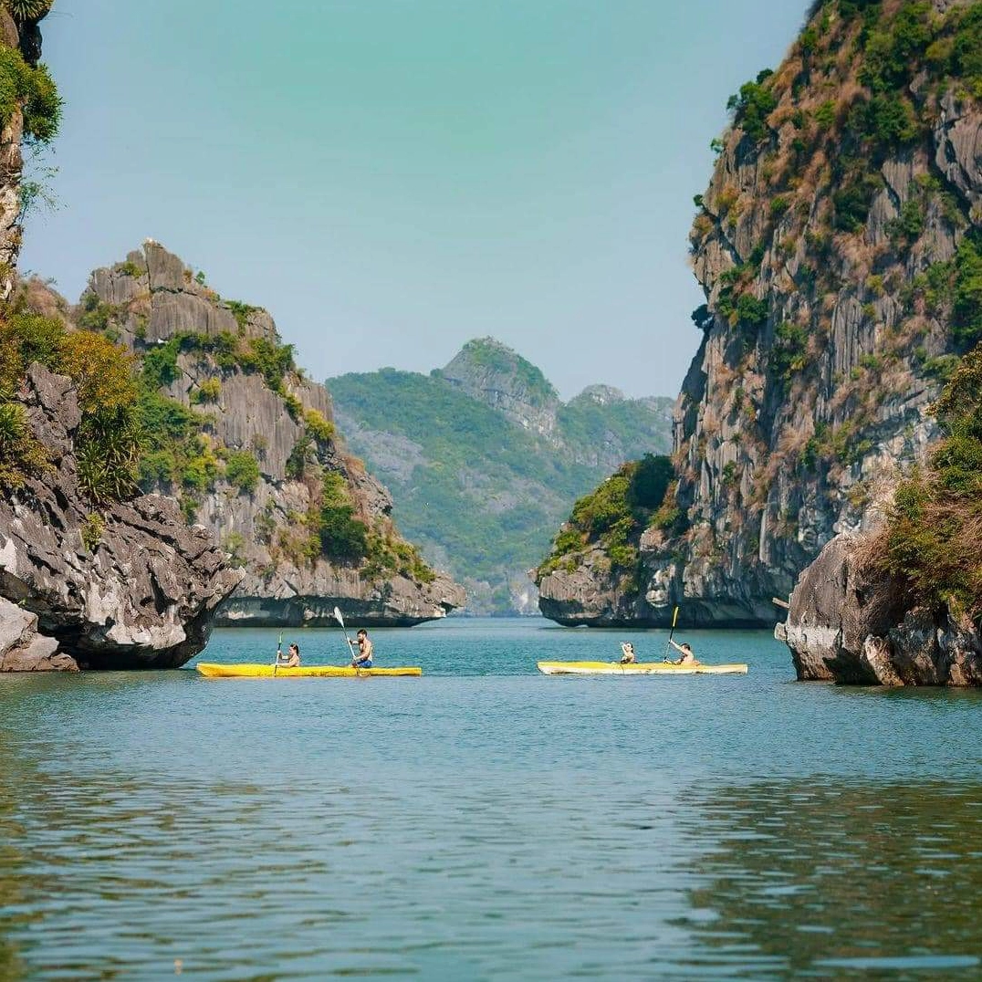 Chèo kayak trên vịnh Lan Hạ, Cát Bà
