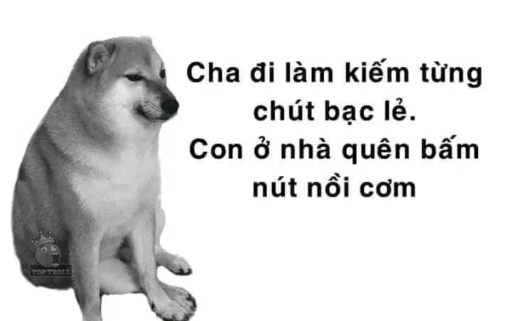 Chó Cheems meme dễ thương và cực kỳ lầy lội