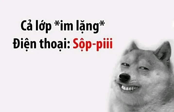 Dog Shiba meme độc lạ với biểu cảm thú vị