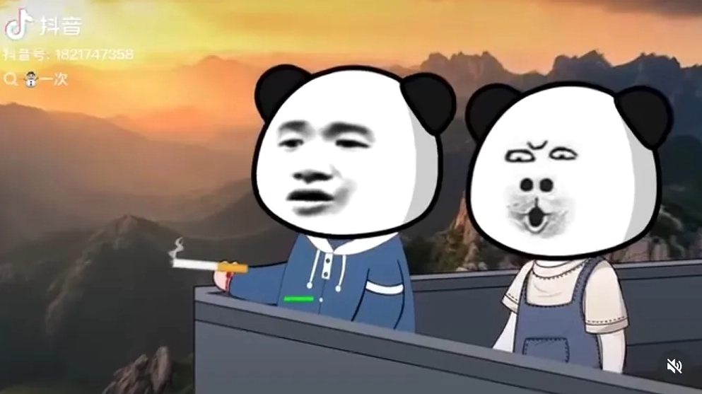 Gấu trúc meme với biểu cảm hài hước và lầy lội