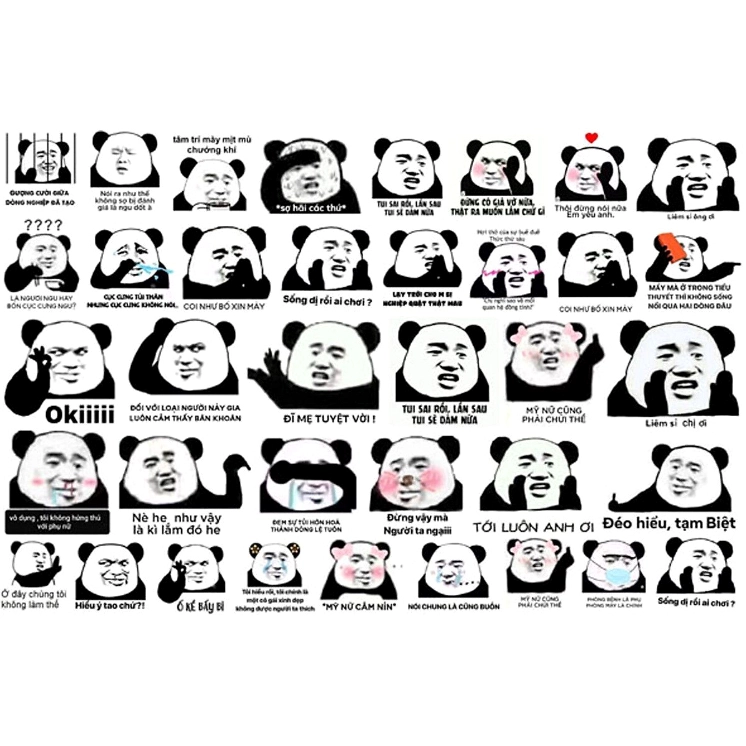 Hàng loạt meme gấu trúc hài hước
