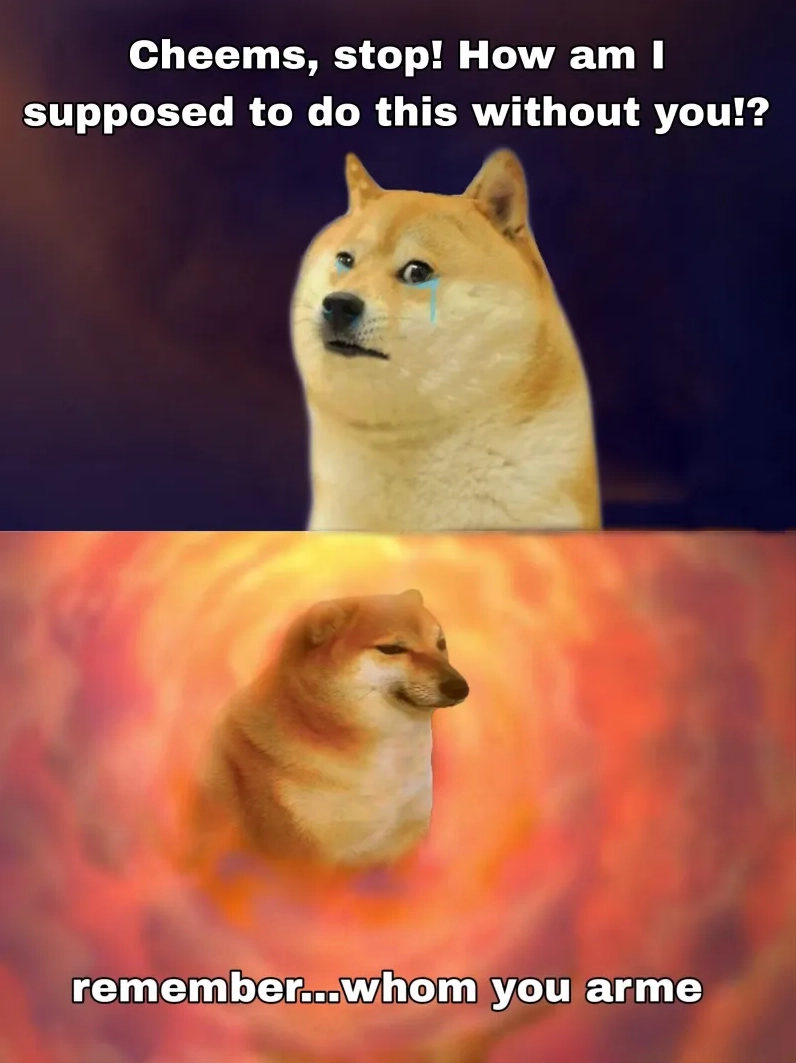 Hình ảnh meme Cheems cực hài và dễ thương