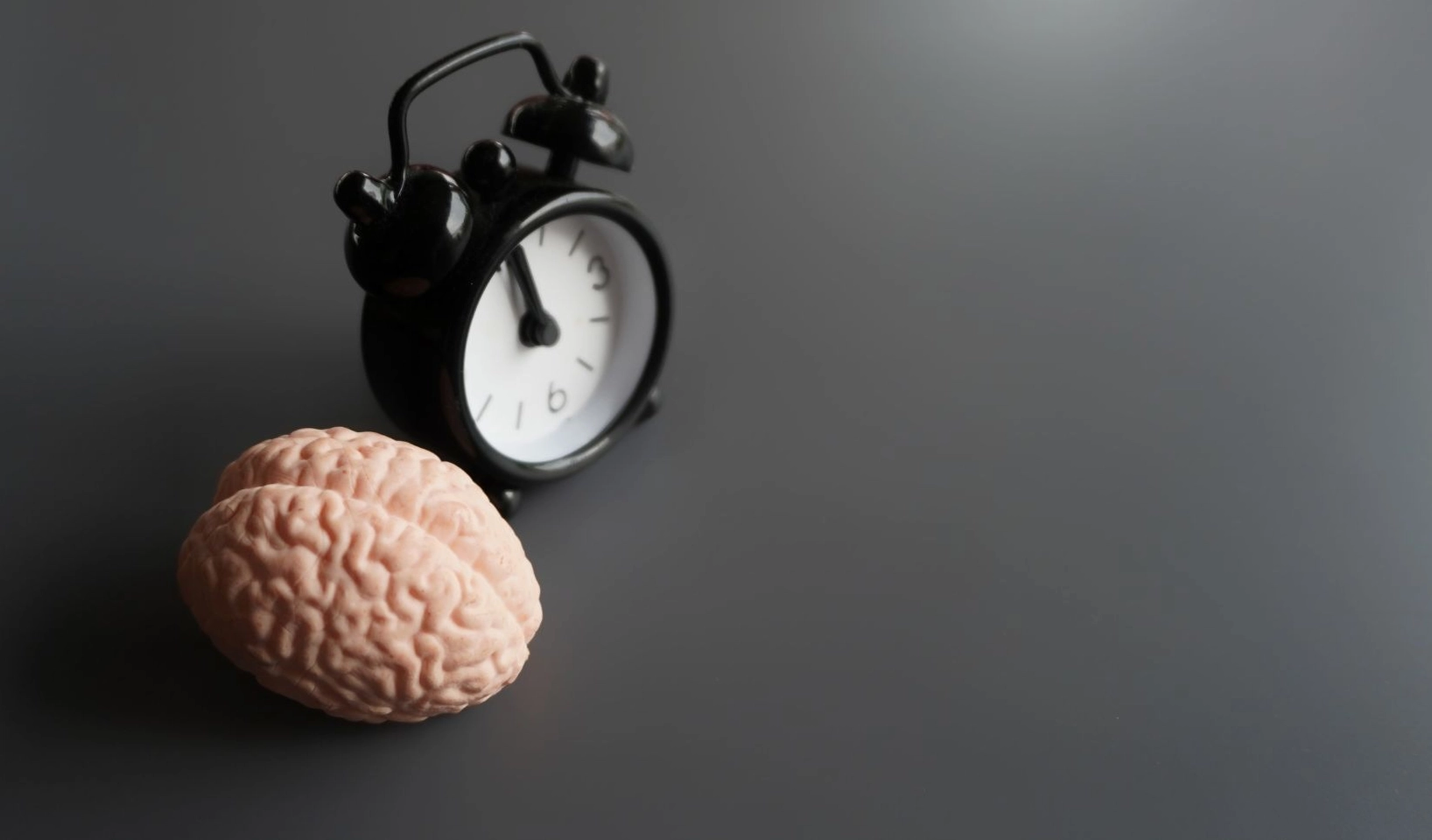 Hình ảnh minh họa cấu trúc não bộ nơi các chất dẫn truyền thần kinh như dopamine và serotonin được giải phóng