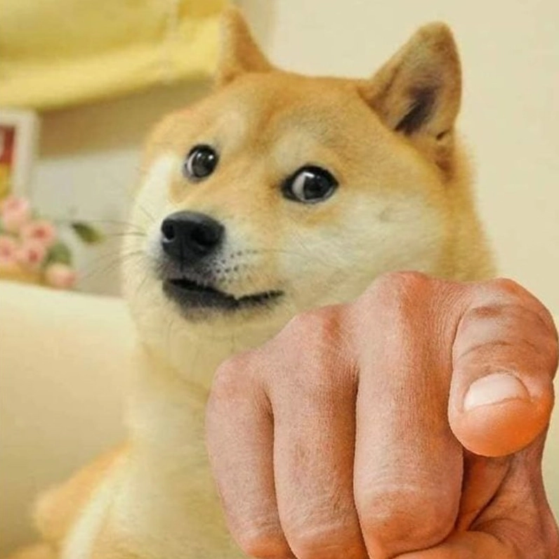 Hình meme chó chỉ tay