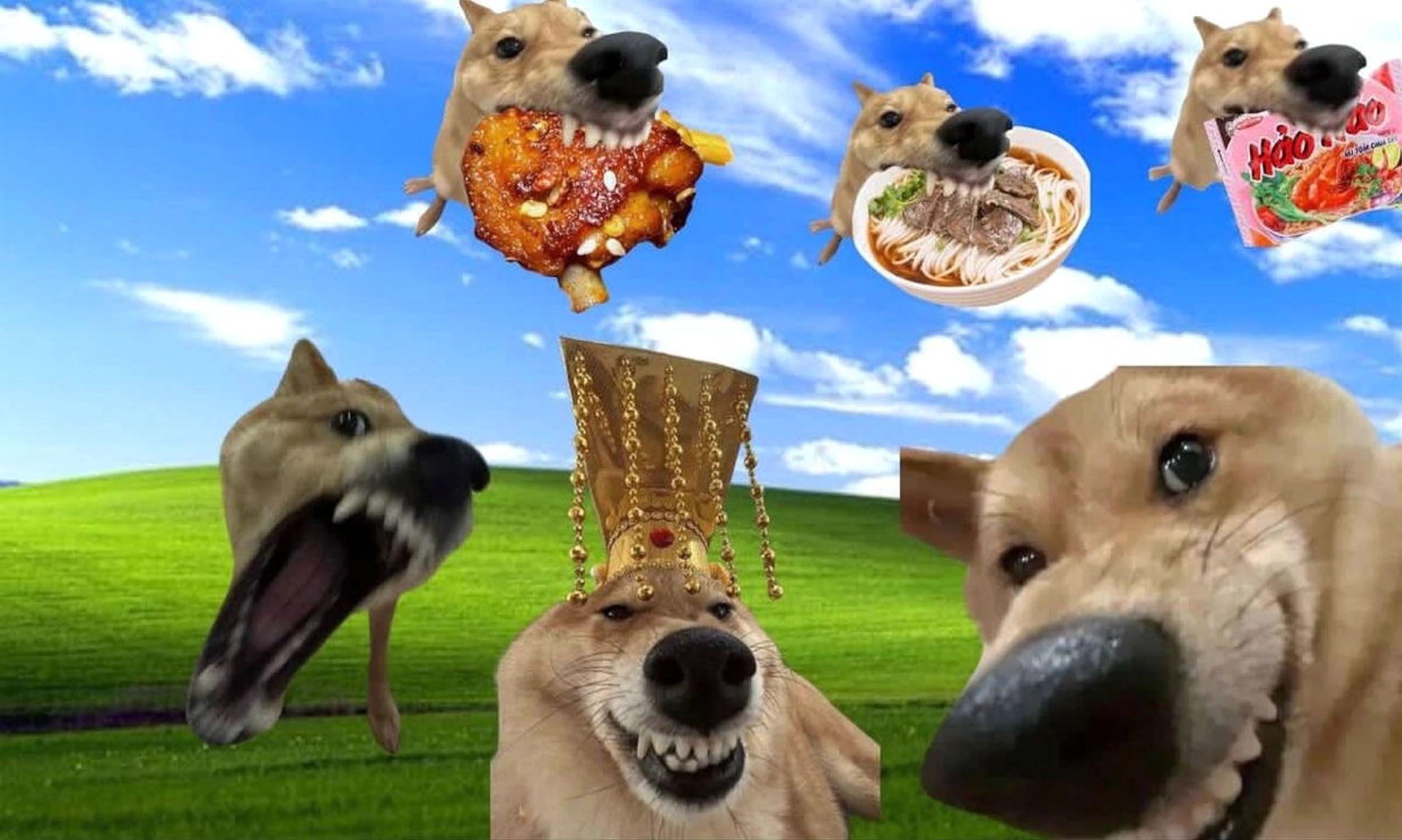 Hình nền meme hài hước với nhân vật biểu cảm kỳ lạ