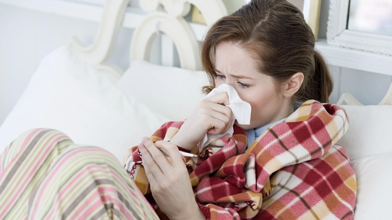 Hợp chất trong kinh giới giúp tiêu diệt vi khuẩn cúm