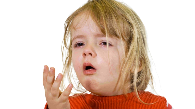 Kinh giới giúp trị ho, làm tan đờm
