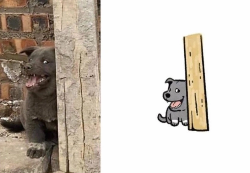Meme chó ngáo