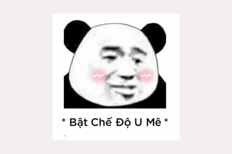 Meme gấu trúc với biểu cảm hài hước