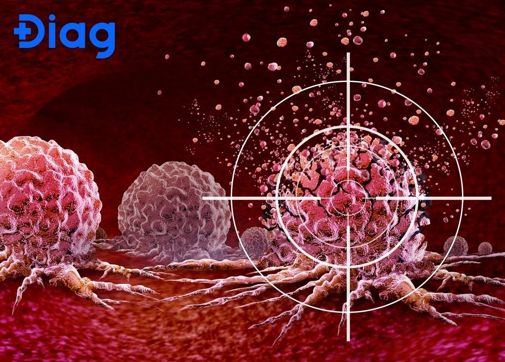 Minh họa cơ chế hoạt động của liệu pháp nhắm trúng đích trong việc kìm hãm tế bào ung thư