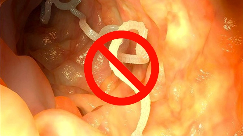 Tác dụng tiêu diệt ký sinh trùng đường ruột của kinh giới