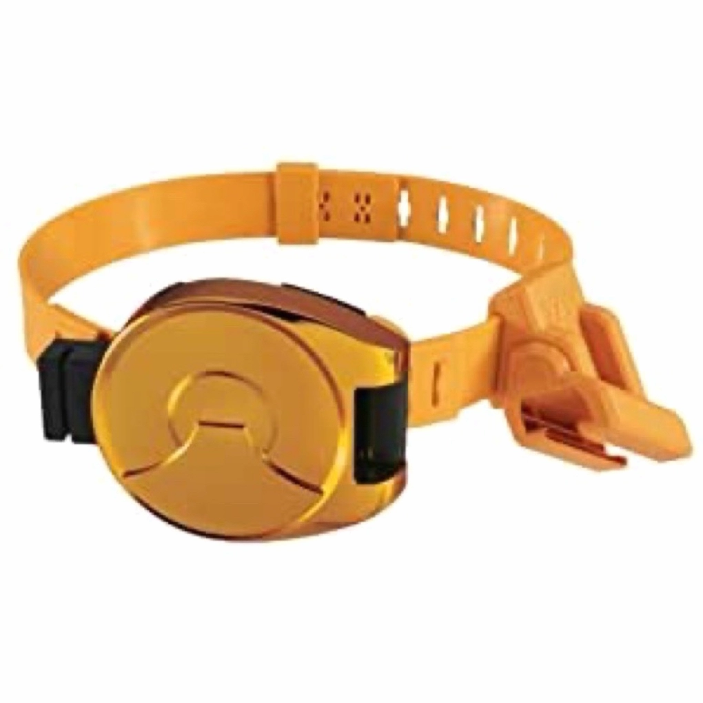 Thanh kiếm Shinkenmaru và đai biến hình của siêu nhân thần kiếm.
